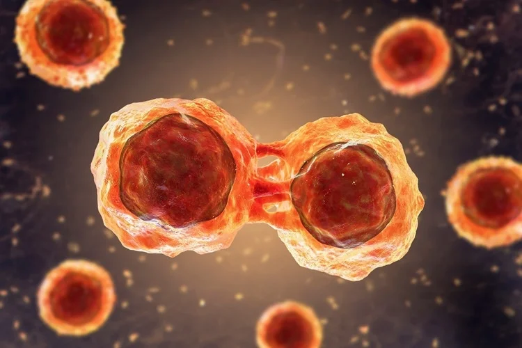 Stem Cell Therapy in India